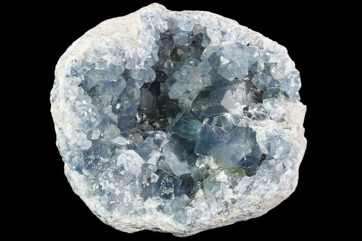 Celestine (Celestite) Geode ( Lbs) - Large Crystals! #106674